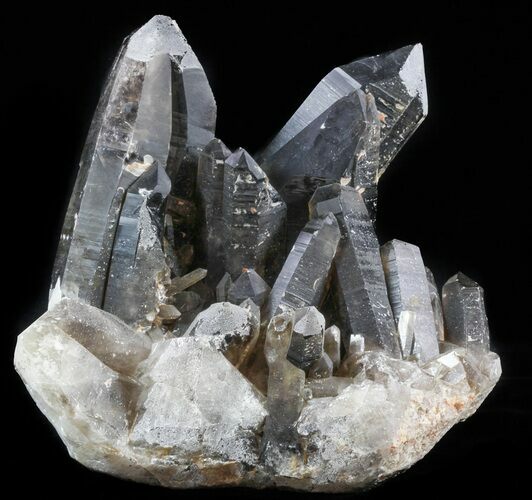 Dark Smoky Quartz Cluster - Large Crystals #58904